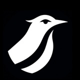 Nightingale Int.
