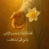 ﻧـۅر ٱلْـمھَہّدي³¹³