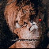 🥀 كوني قوية 🥀