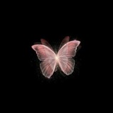 وَآتَاكُم مِّن كُلِّ مَا سَأَلْتُمُوهُ 🌷 💕 <i class="emo