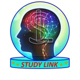 STUDY LINK PDF