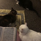صدقه جارية