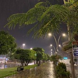 الرِّهَــام.