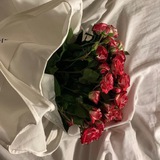 مُ 🦋
