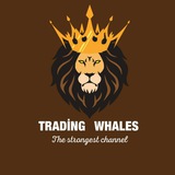 🔱 TRADİNG WHALES 🔱