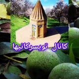 اجتماع بزرگ تویسرکانیا
