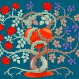 Il Rovo e la Rosa ๐น