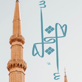 خواطر وفوائد - زكي الهاشمي