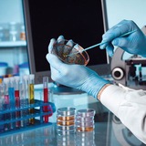 🔬 كاريابي و كارآموزي آزمايشگاه 🔬