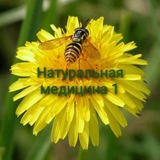 Натуральная медицина1