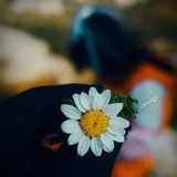 اليَاسَمين