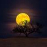 فرزانآگاهی