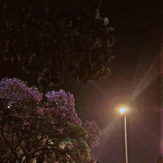 ضلال ضائعة