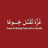 على بصيرة