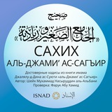 Сахих аль-Джами’ ас-Сагъир