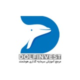 آکادمی دلفینوست