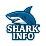Shark Info - Brasil