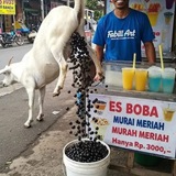 Meme Indonesia