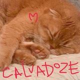 Calvadoze π·