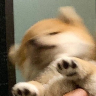 LEO 加密小天地 小頻道