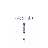 وتشاءُ انت من الاماني نجمةً ✨