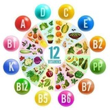 Gesundheit 🥒 Ernährung 🥝 & Abnehmen <i class="emo