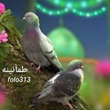 القرآن الكريم _ ايات قرانيـة _ طمأنينـة _ مـلاذ 🦋 _ ليطمئن قلبك ♡
