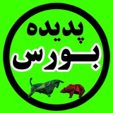 پدیده بورس