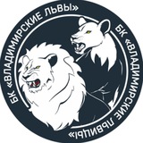 БК "ВЛАДИМИРСКИЕ ЛЬВИЦЫ"