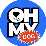 OH MY DOG!