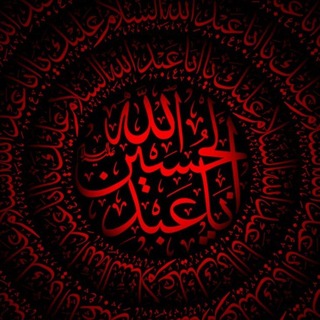 وَمَا لِلروحِ دونَ الحُسَين روح 🤍
