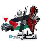 سلواد النـبــــــض 🫀