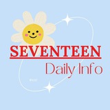 SEVENTEEN DAILY INFO