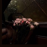 أوتـار.