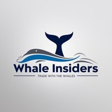 WHALE INSIDERS