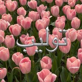 توليب .