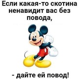 Банкротный паноптикум 🤦♂️