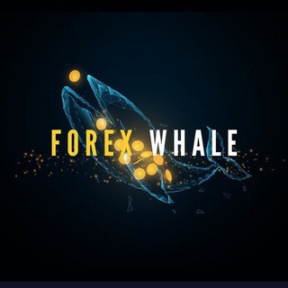 FOREX WHALES ๐ณ