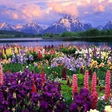 God's Creation 🌍 🌳 <i class="emoji" style="backgrou