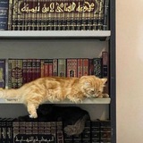 قرآن ، ادعية ، اذكار , المصحف