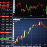 Investor