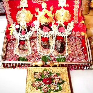 Vaishno Devi Mata Darshan
