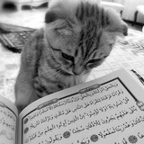 Ibn Islam إبن إسلم