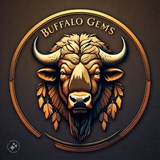 BUFFALO GEMS ARENA