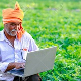 Mandi bhav khabar