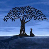 The_Yogi_Traders