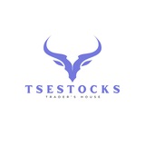 TSESTOCKS