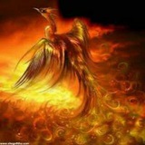 گالری تصاویر ادبی