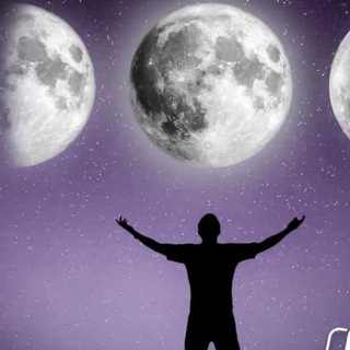 دوره های آموزشی رایگان - دوره های دکتر علیرضا شیری