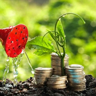 WealthBuilder